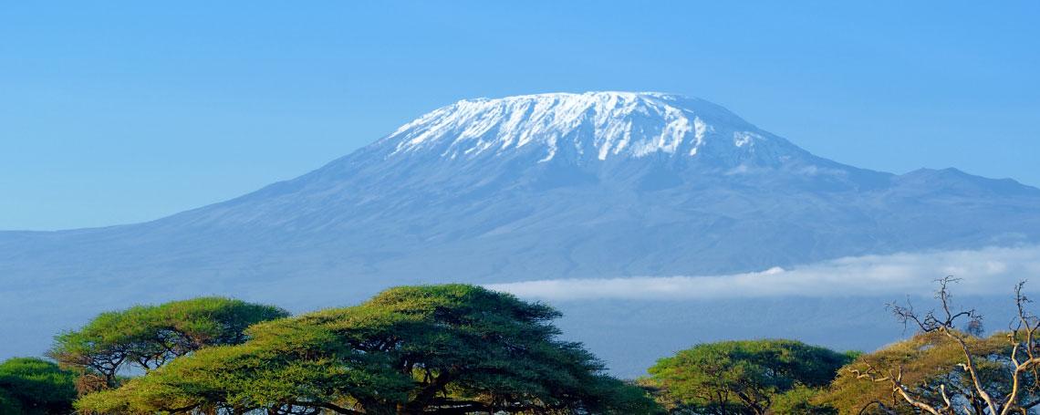 tansania tax reporting