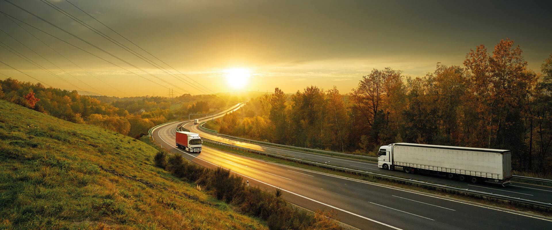  elektronische Lieferscheine in Serbien