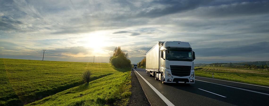 EKÁER Warenkontrolle Ungarn